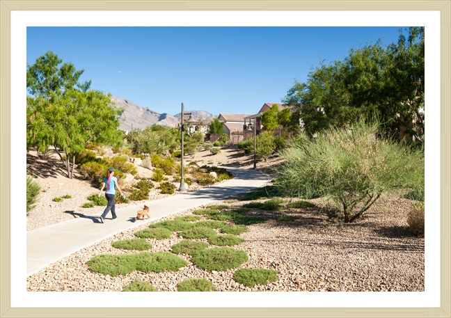 new-summerlin-homes-include-community-amentities.jpg