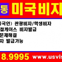 한국인/중국인 미국비자 발급 ( www.usvisa101.com )