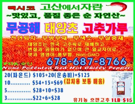 태양초.jpg