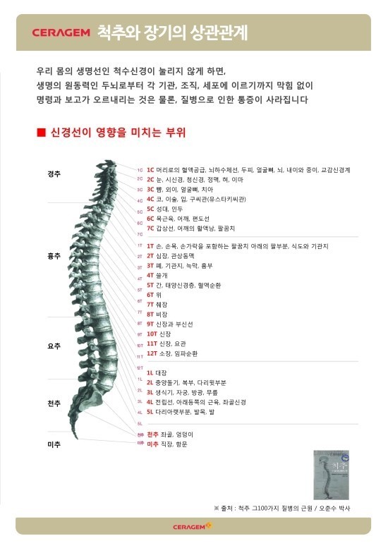 척추1.jpg