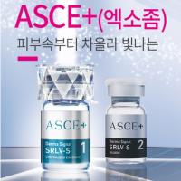 엑소좀 asce+