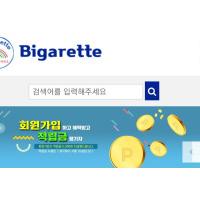 담^^배 해외배송신규쇼핑몰 "Bigarette"입니다