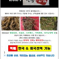 📢 노스 캐롤라이나 그레이트 스모키 마운틴 천종 산삼 판매합니다