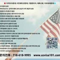 ○●미국비자문제, 이민페티션문제, 거절된비자, 체류신분, 자유왕래문제 해결●○