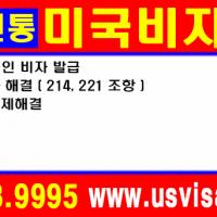 미국비자 발급  ( www.usvisa101.com )