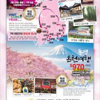 미주 대한노인회와 3월 한국및일본 벚꽃 축제(213-388-4141)