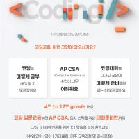 [코딩수업] 파이썬/자바/AP CSA/AP CSP/USACO/ACSL 코딩 수업
