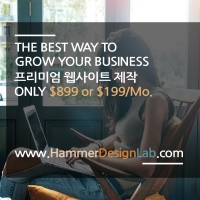 ✮ 뉴욕 파슨스 출신 비지니스 웹사이트 제작 only $899 or $199/Mo.