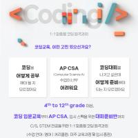 [코딩수업] 파이썬/자바/AP Computer Science/USACO/ACSL 코딩 수업