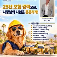 미국에서 사업할 때, 어떤 보험 커버리지가 필요할까요?