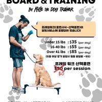 급한 여행! 강아지 맡기실 곳 찾으신다면 저희에게 맡겨주세요!