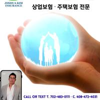 한 번의 응급수술에 수천 불… 펫보험으로 막아두세요