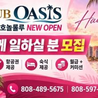Club 오아시스 에서 일하실 분 구함